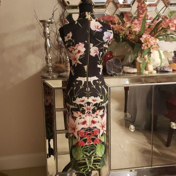 TED Baker London Gorgeous Dress Size 1 (XS-S) NWOT - Picture 5 of 8